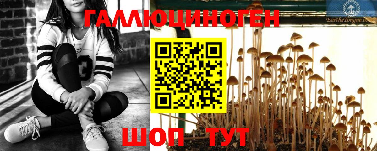 Галлюциногенные грибы прущие грибы  Вход с VPN  Вязники  Псилоцибиновые грибы ЛСД 